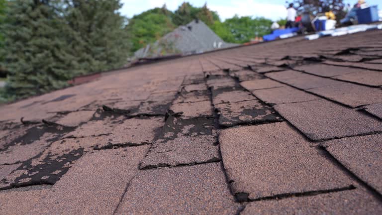 Best Sheet Metal Roofing  in Fort Benton, MT